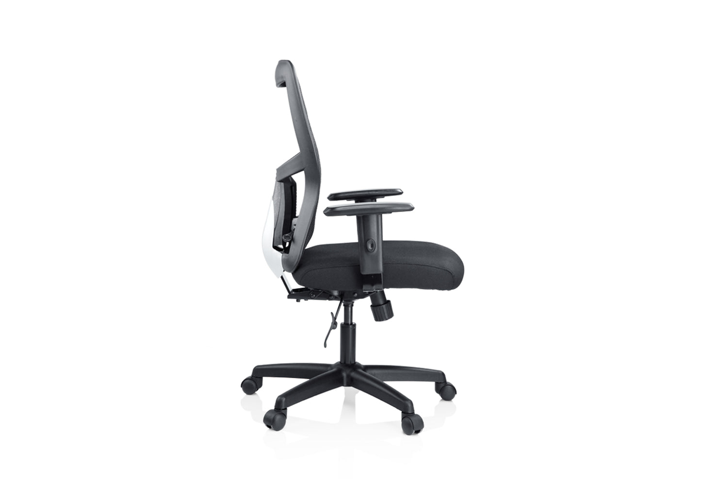 Ergo MB