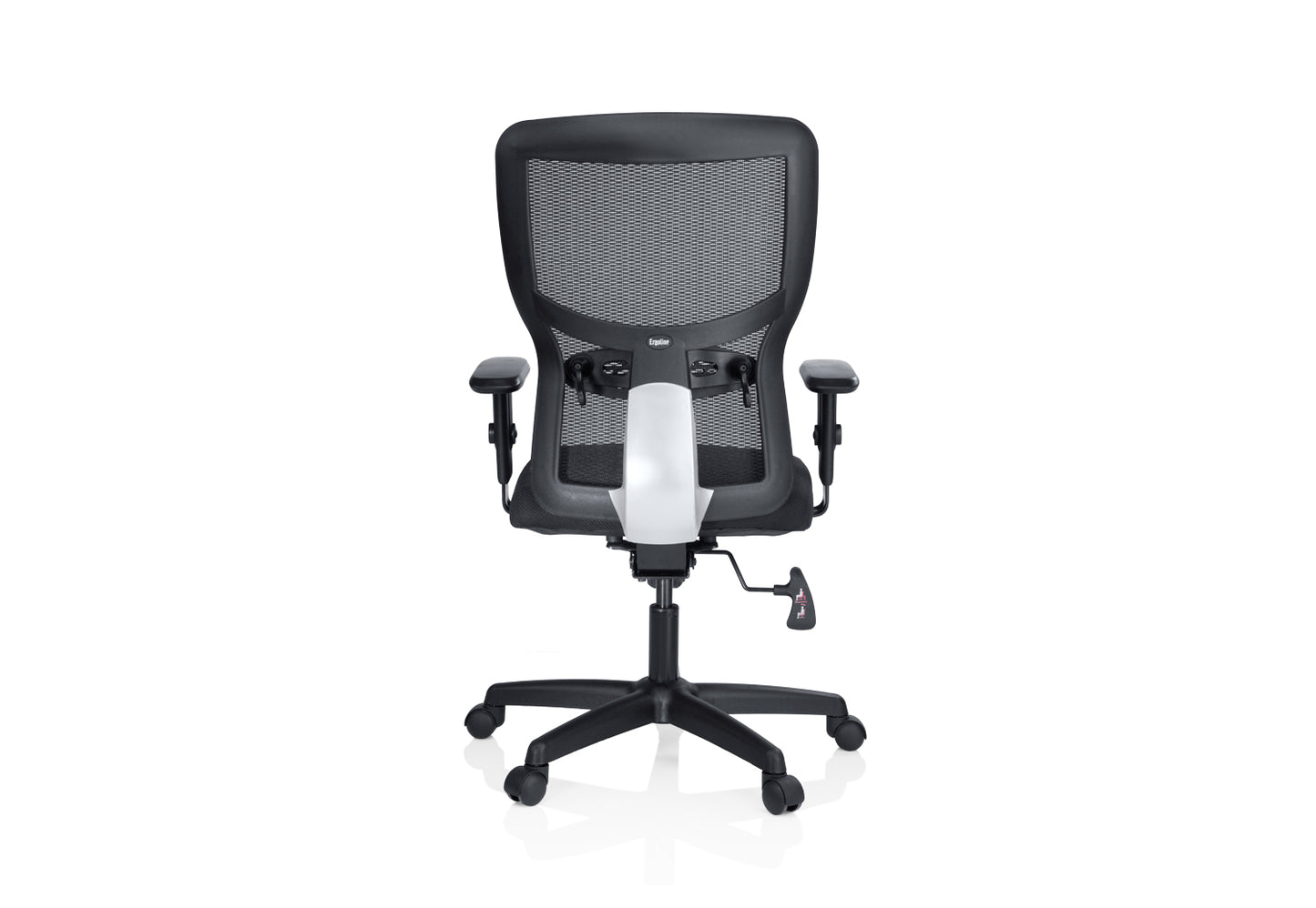 Ergo MB