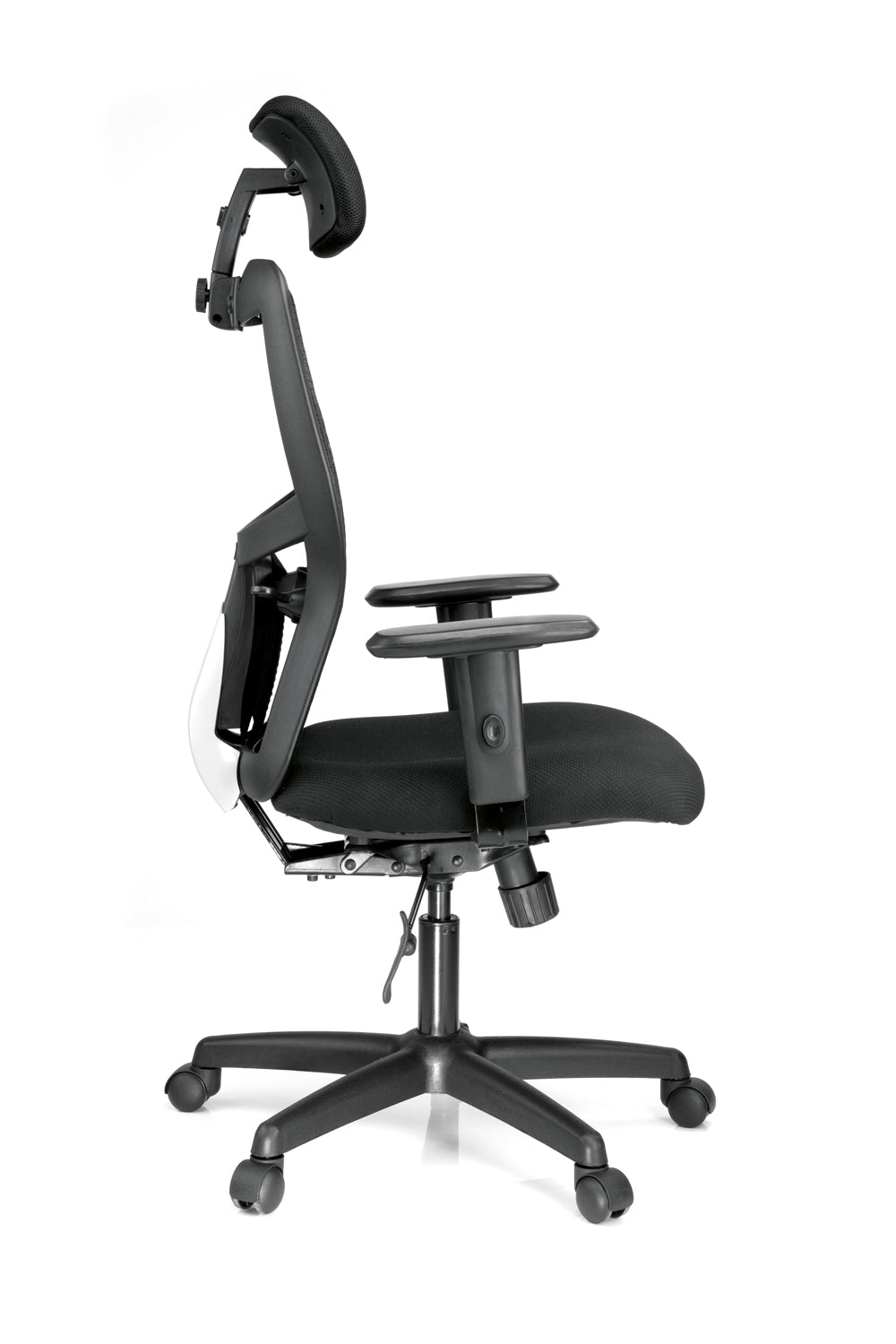 Ergo HB ML
